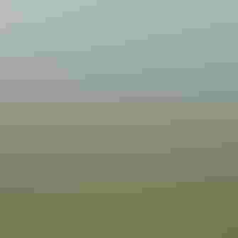 People walking through tall brush on an island while gulls fly overhead.