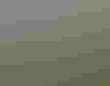 Peering through green foliage, a glacier recedes across a mountain landscape.