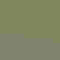 Pied-billed Grebe, adult and chick in marsh