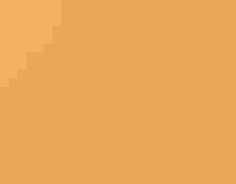 The silhouette of a long billed shorebird stands in water reflecting an orange sunrise 