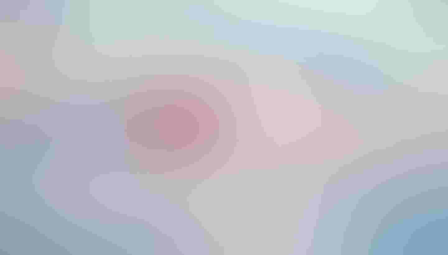 A Roseate Spoonbill flies across the sky.