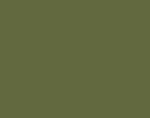 Scarlet Tanager on branch.