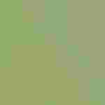 A White-eyed Vireo carries a spider.