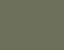 Wood Ducks