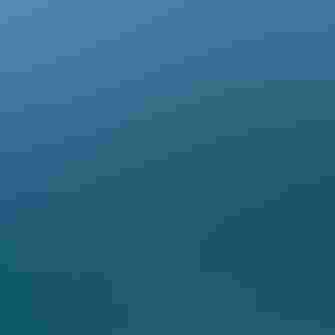 A bird floating in the surf.
