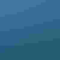 A bird floating in the surf.