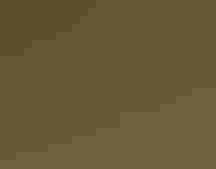 A Bobolink singing, perched in tall grass.