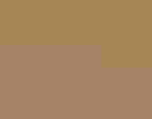 Burrowing Owl.