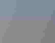 A meadowlark sings, perched on a thin branch in a field.