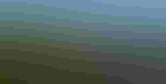 Pine Island marshes
