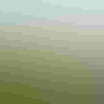 Aerial view of a coastal marsh.