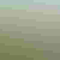 Aerial view of a coastal marsh.