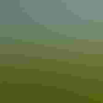 Green landscape with blue skies