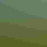 Green landscape with blue skies