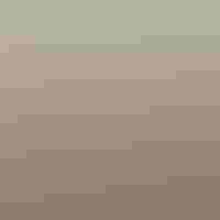 Finding Birds