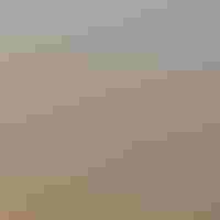 A rugged, isolated mountain range rises from a vast grassland against clear, blue skies.