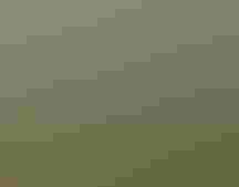 Aerial landscape of an elevated boardwalk zigzagging through a lush green wetland.