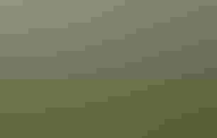 Aerial landscape of an elevated boardwalk zigzagging through a lush green wetland.