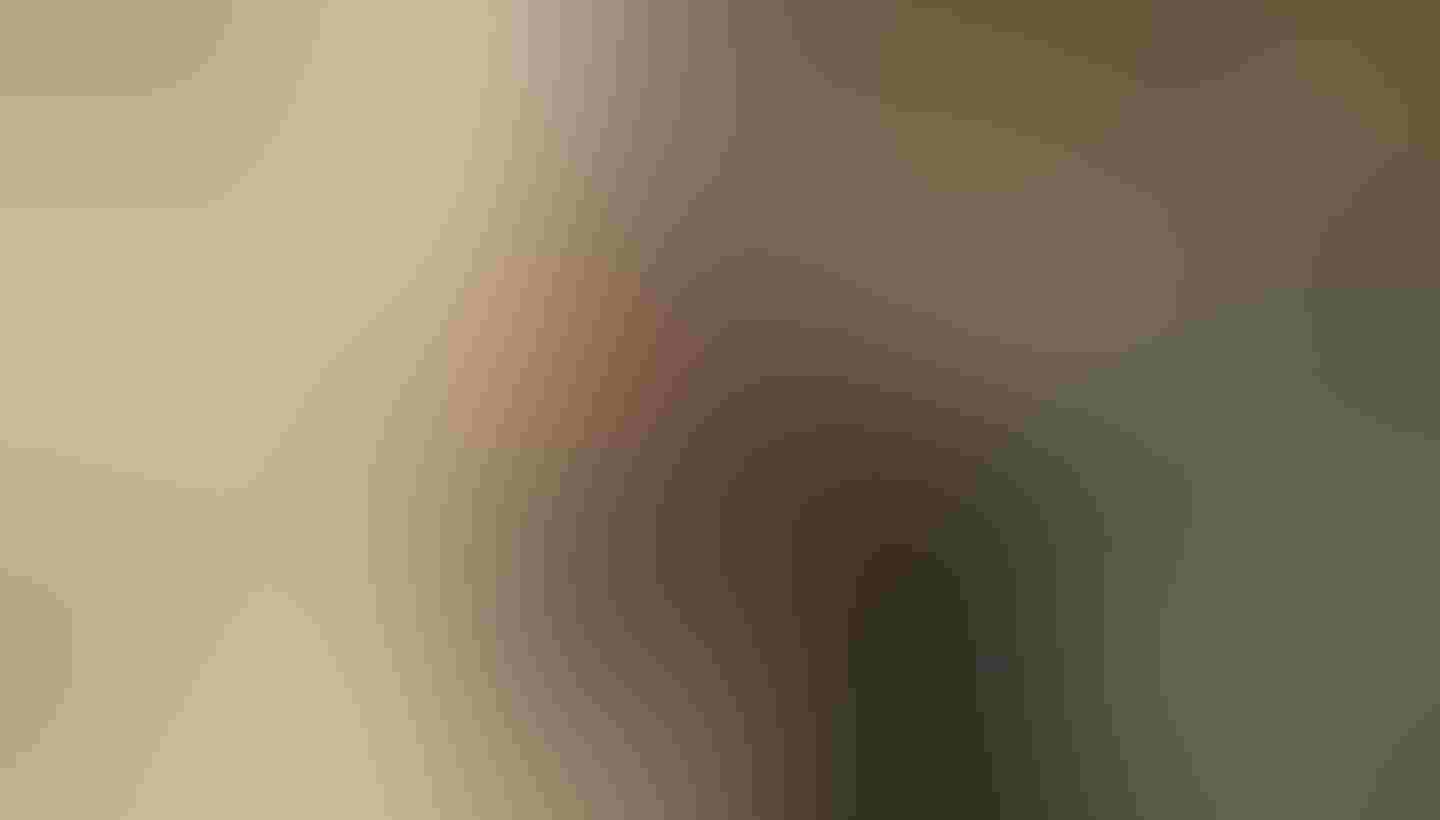 two people stare up at the camera