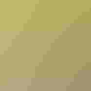 A profile photo of Jamey Fidel