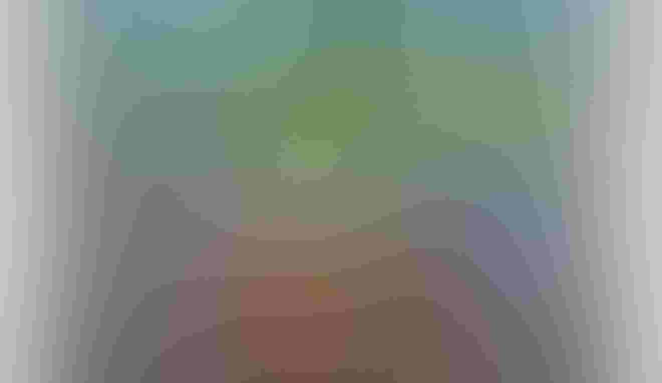 "Paintbrush and Lupine"