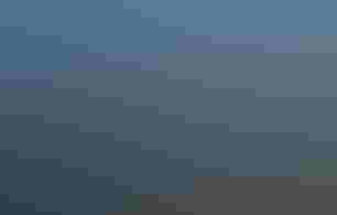 People standing on shoreline with binculars