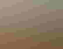 Landscape of a rainbow over fall trees.