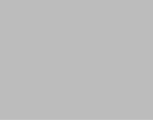Tower surrounded by birds